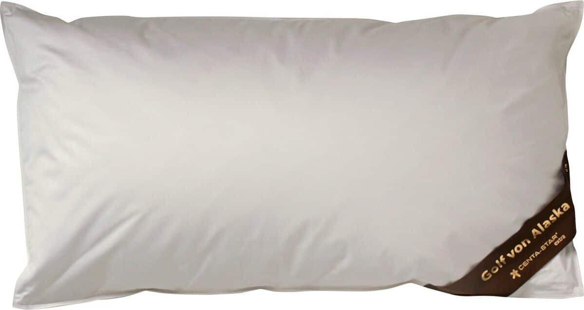 Test oreiller Centa-Star extra duvet/plume 80 x 80 cm
