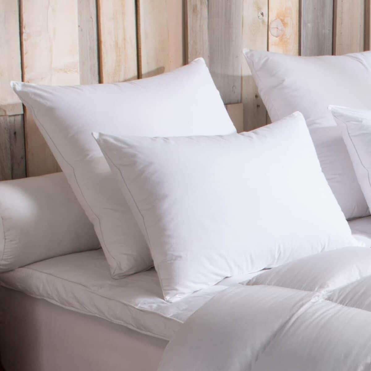 Avis sur l'oreiller Dodo 90% duvet d'oie moelleux